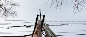 Keep your utility lines clear and safe by contacting the tree care professionals at Atlas Tree