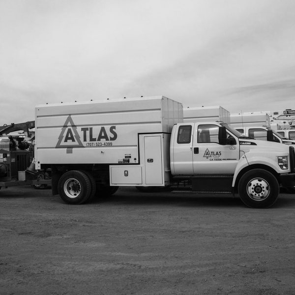Fleet of vehicles used by the tree care professionals at Atlas Tree